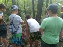 IMG_20180823_164354 IMG_20180823_164354