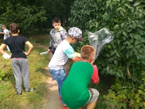 IMG_20180828_114826 IMG_20180828_114826