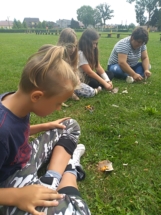 IMG_20180828_125056 IMG_20180828_125056