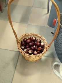 IMG_20180925_163242 IMG_20180925_163242