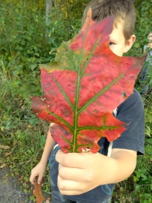 IMG_20181005_163538 IMG_20181005_163538