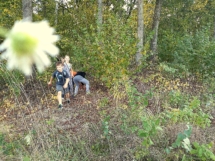 IMG_20181005_163621 IMG_20181005_163621