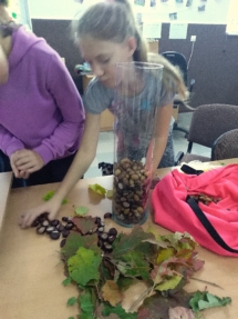 IMG_20181005_173246 IMG_20181005_173246