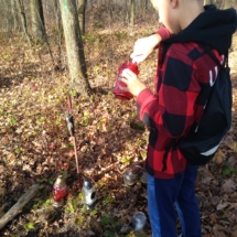 IMG_20181102_124400 IMG_20181102_124400