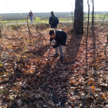 IMG_20181102_124749 IMG_20181102_124749