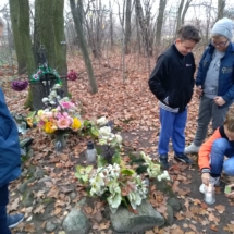 IMG_20181108_153955 IMG_20181108_153955