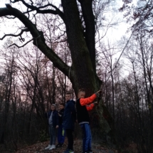 IMG_20181108_160014 IMG_20181108_160014