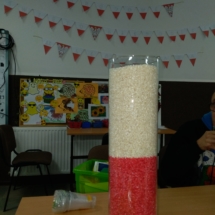 IMG_20181108_164217 IMG_20181108_164217