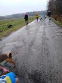 48894112_772471076436690_6969723179619057664_n (Copy) 48894112_772471076436690_6969723179619057664_n (Copy)