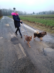 49158459_765933370460094_6837832104122777600_n (Copy) 49158459_765933370460094_6837832104122777600_n (Copy)