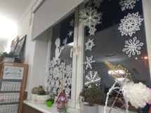 IMG_20181213_162228 (Copy) IMG_20181213_162228 (Copy)