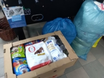 IMG_20181219_182136 (Copy) IMG_20181219_182136 (Copy)