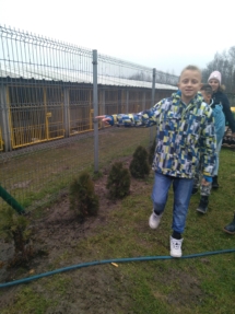 IMG_20181227_104046 (Copy) IMG_20181227_104046 (Copy)