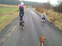 IMG_20181227_105053 (Copy) IMG_20181227_105053 (Copy)