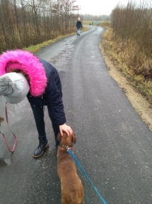 IMG_20181227_105547 (Copy) IMG_20181227_105547 (Copy)