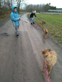 IMG_20181227_111655 (Copy) IMG_20181227_111655 (Copy)