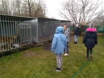 IMG_20181227_115033 (Copy) IMG_20181227_115033 (Copy)