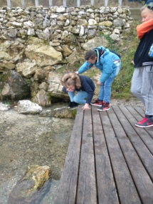 48388921_595801690881774_1982290074695368704_n 48388921_595801690881774_1982290074695368704_n