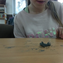 50644891_231815417698835_8910163363565142016_n (Copy) 50644891_231815417698835_8910163363565142016_n (Copy)