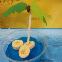 50793922_372763230188143_7212792086322479104_n (Copy) 50793922_372763230188143_7212792086322479104_n (Copy)