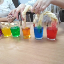 51395081_2573788455970476_3078534336165707776_n (Copy) 51395081_2573788455970476_3078534336165707776_n (Copy)