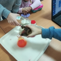 51769689_560104411154241_5436672029656875008_n (Copy) 51769689_560104411154241_5436672029656875008_n (Copy)