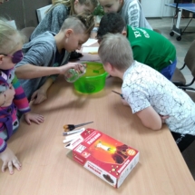 IMG_20190109_170931 (Copy) IMG_20190109_170931 (Copy)