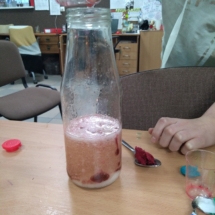 IMG_20190130_161857 (Copy) IMG_20190130_161857 (Copy)