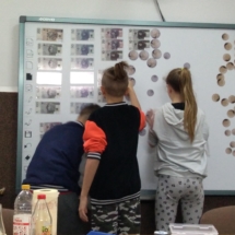 IMG_20190130_163511 (Copy) IMG_20190130_163511 (Copy)