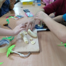 IMG_20190131_182817 (Copy) IMG_20190131_182817 (Copy)