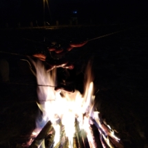 IMG_20190201_172648 (Copy) IMG_20190201_172648 (Copy)