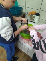 IMG_20190208_161421 (Copy) IMG_20190208_161421 (Copy)