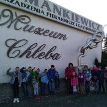 IMG_20190219_113123 (Copy) IMG_20190219_113123 (Copy)