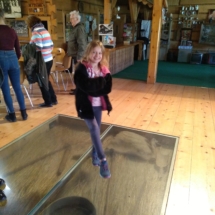 IMG_20190219_131831 (Copy) IMG_20190219_131831 (Copy)