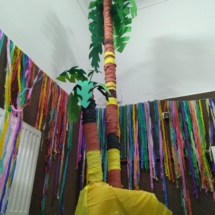 IMG_20190221_175251 (Copy) IMG_20190221_175251 (Copy)