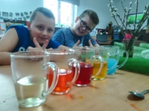 56561428_310003152979194_3868178122373332992_n (Copy) 56561428_310003152979194_3868178122373332992_n (Copy)