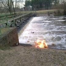 IMG_20190321_162623 (Copy) IMG_20190321_162623 (Copy)