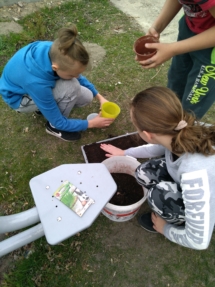 IMG_20190404_171523 (Copy) IMG_20190404_171523 (Copy)