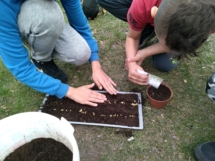 IMG_20190404_171704 (Copy) IMG_20190404_171704 (Copy)