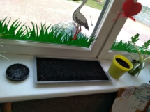 IMG_20190404_172647 (Copy) IMG_20190404_172647 (Copy)