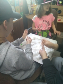 IMG_20190409_172411 (Copy) IMG_20190409_172411 (Copy)