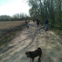 IMG_20190417_102632 (Copy) IMG_20190417_102632 (Copy)