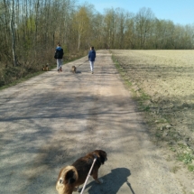 IMG_20190417_104226 (Copy) IMG_20190417_104226 (Copy)