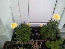 59401105_427547798038572_5001945692042690560_n 59401105_427547798038572_5001945692042690560_n