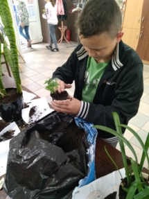 IMG_20190429_180454 (Kopiowanie) IMG_20190429_180454 (Kopiowanie)