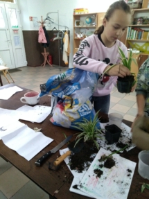 IMG_20190429_181946 (Kopiowanie) IMG_20190429_181946 (Kopiowanie)