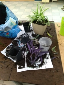 IMG_20190429_183157 (Kopiowanie) IMG_20190429_183157 (Kopiowanie)