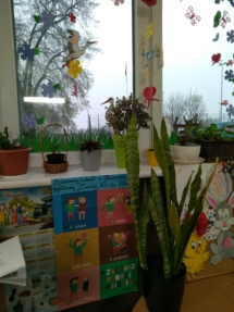 IMG_20190429_190904 (Kopiowanie) IMG_20190429_190904 (Kopiowanie)