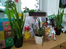 IMG_20190429_190945 (Kopiowanie) IMG_20190429_190945 (Kopiowanie)