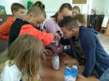 IMG_20190524_151334_1 IMG_20190524_151334_1